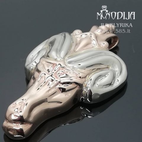 Pakabukas avinas. Svoris 24g. Darbas nuo 200€